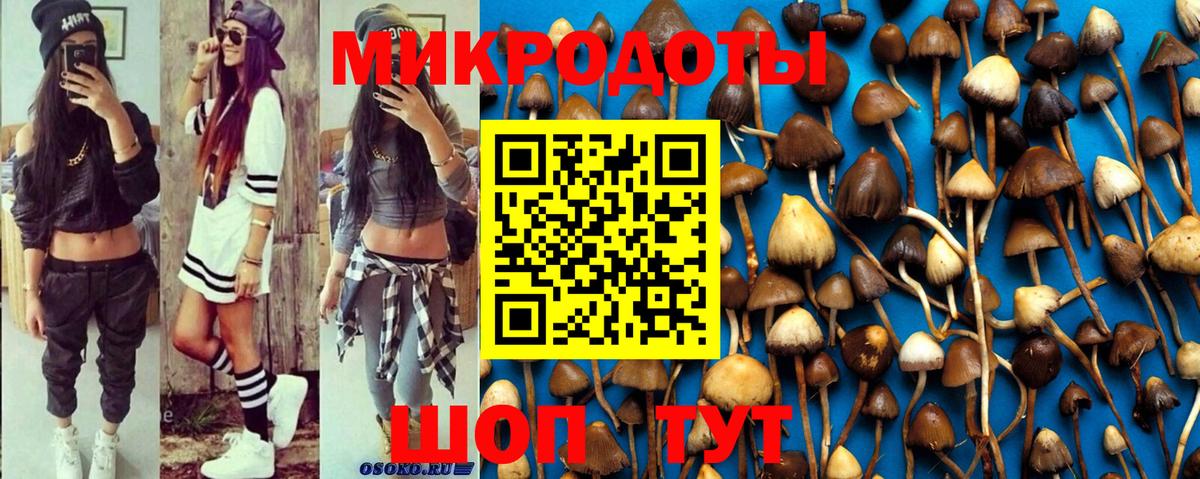 НБОМе Майский