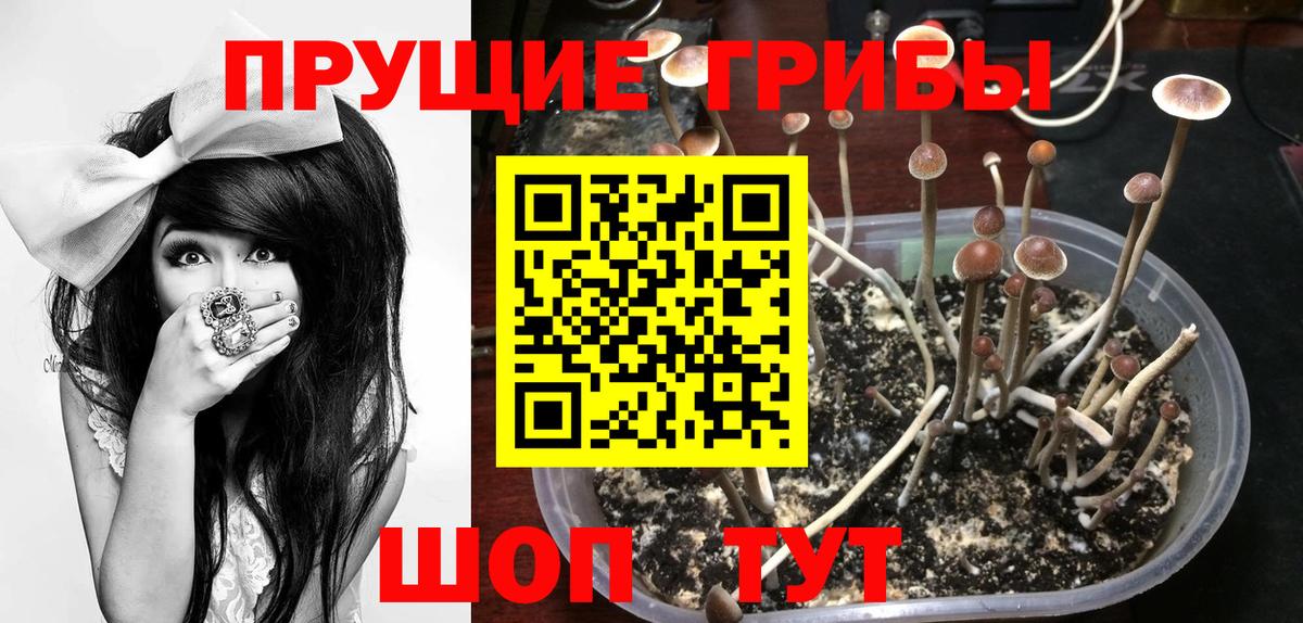 Псилоцибиновые грибы ЛСД Майский